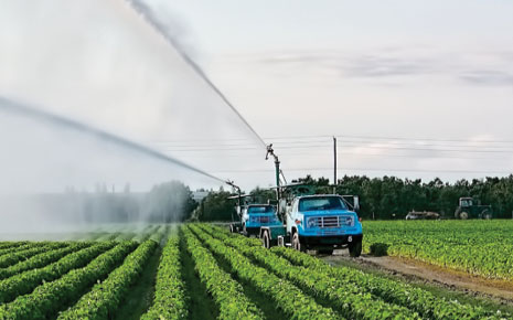 High-Tech Agribusiness