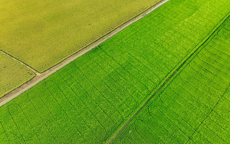 Progress & Potential: A Taste of the Caribbean Main Photo