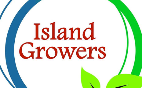 Thumbnail for Success Story: Island Growers Caribbean