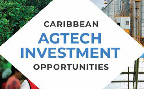 Caribbean Agtech Investment Opportunities