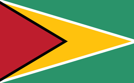 Thumbnail for Invest in Guyana: 2026