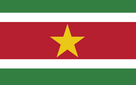Thumbnail for Invest in Suriname: 2026