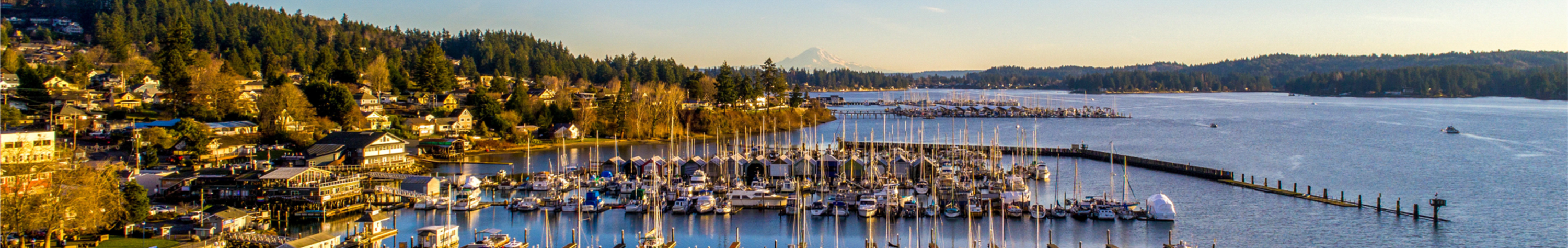 Healthcare - One Of Kitsap's Most Important Sectors