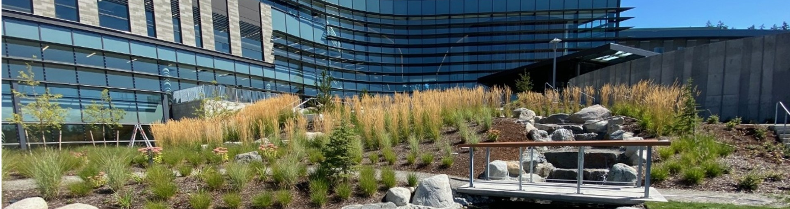 large modern steel, glass window building with small waterfall and bridge landscaping