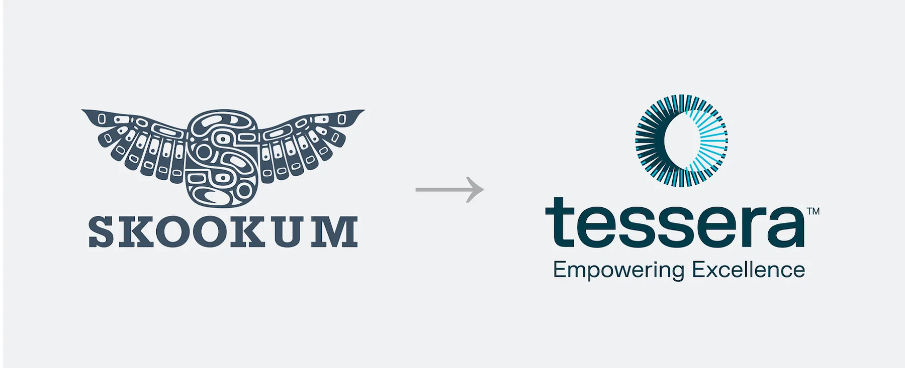 Long-Standing Champion for Disability Employment Unveils New Identity: Tessera Photo