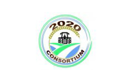 2020 Consortium's Logo