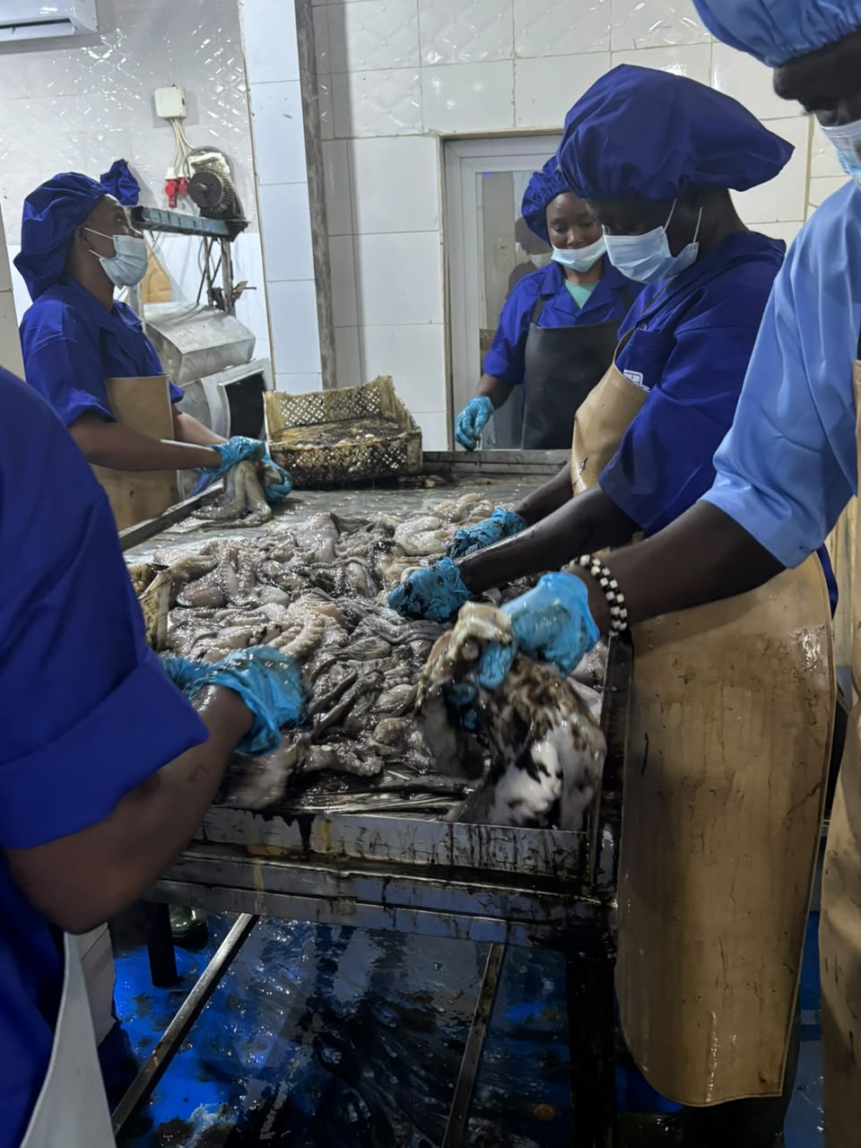 Blue Fin Factory