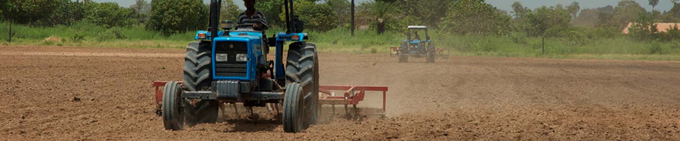 Agriculture Opportunities in The Gambia