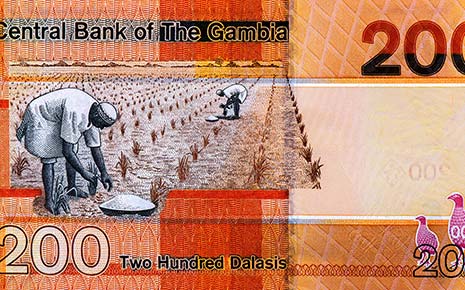 Central Bank of The Gambia art