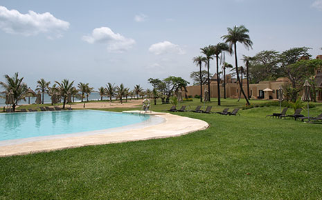 Beautiful palm tree resort with pool
