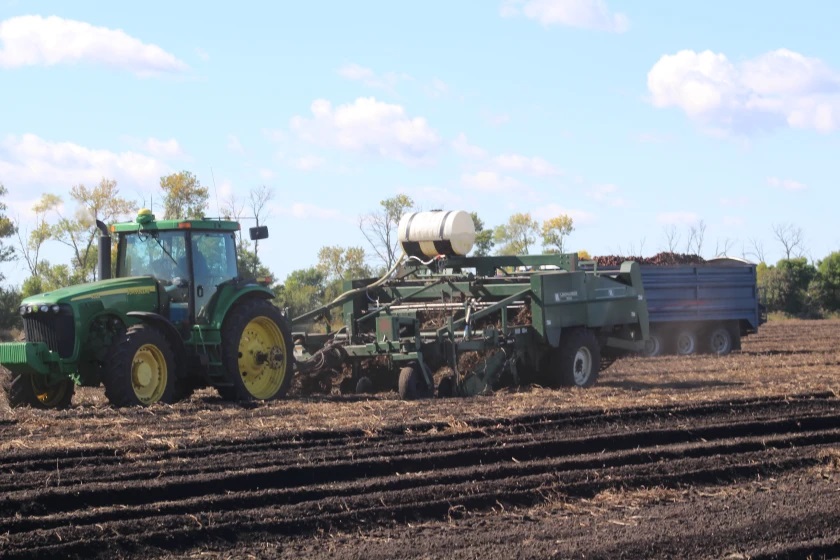 Echo Press: Northern Plains potato industry works to keep the economy in shape Photo