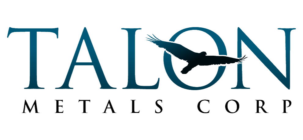 Thumbnail for Talon Metals excited about new developments related to their nickel project in Tamarack