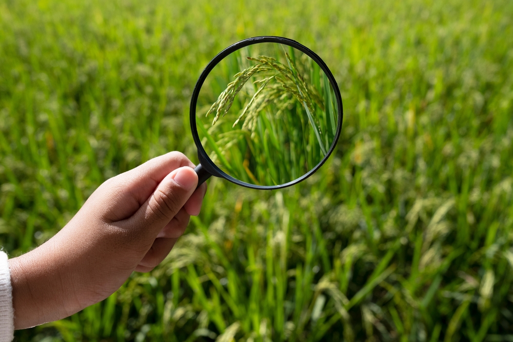 The Journal: MDA offers grants for innovative crop research Photo