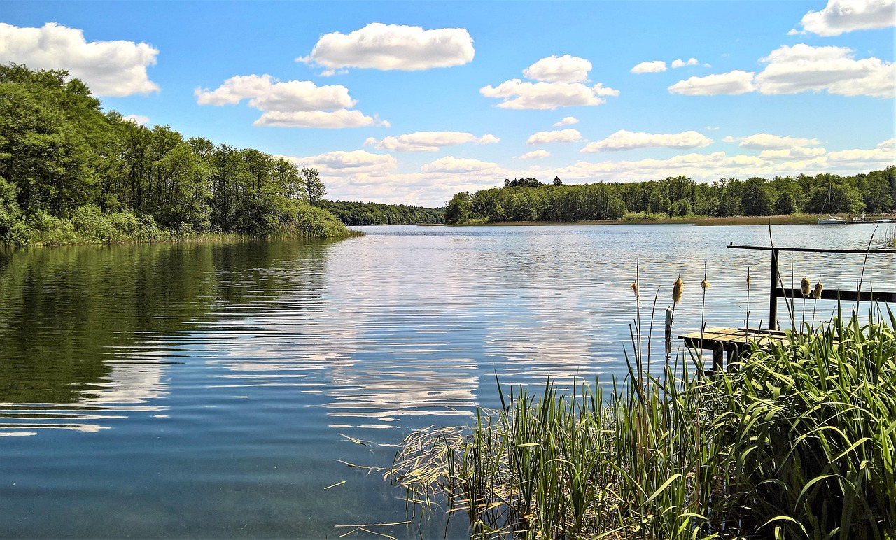 St. Paul Business Journal: Walters Resort on Lake Ida seeks new owners Photo
