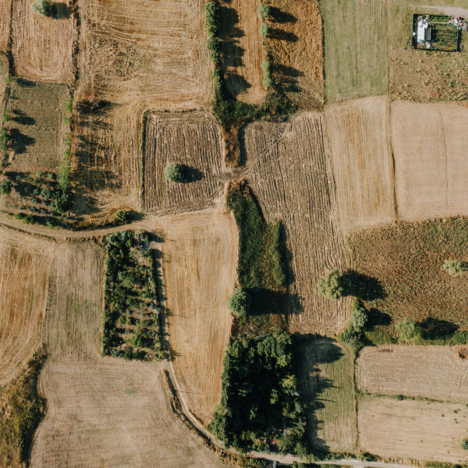 CLA: Using Opportunity Zones to Invest in Rural Areas While Saving Taxes Photo