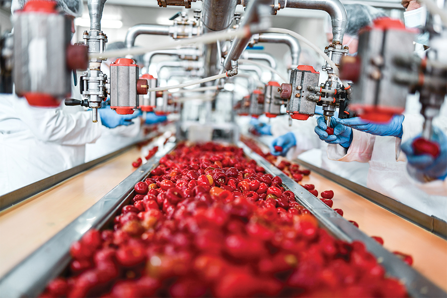 Expansion Solutions Magazine: Food Processing Sector Bustling, Future Looking Strong Photo