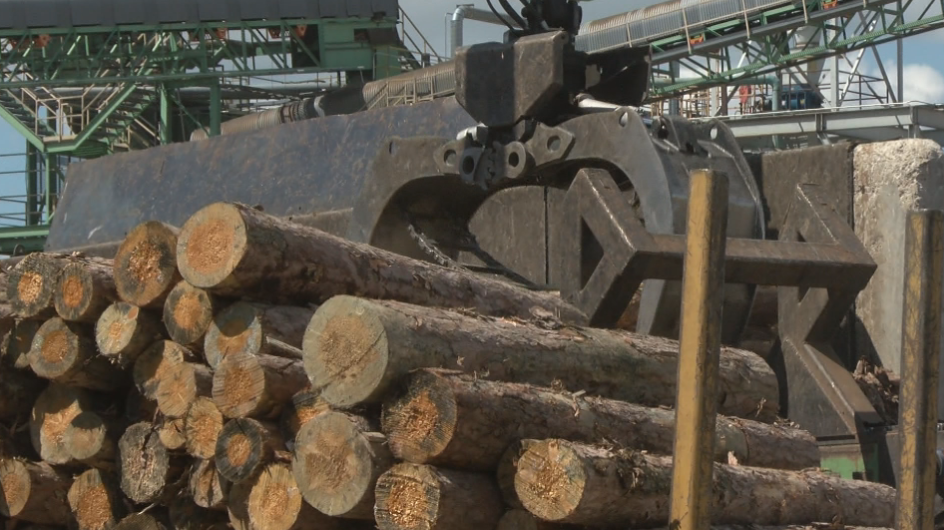 New plan aims to build wood pellet mills in Northern Minnesota Photo