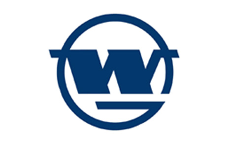 Wuhan Iron and Steel Co Ltd (Wisco)'s Logo
