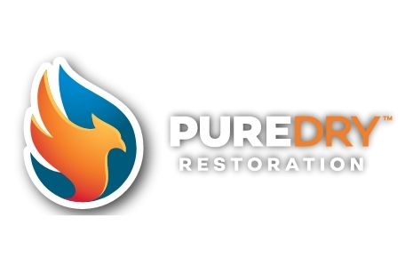PureClean/PureDry's Logo