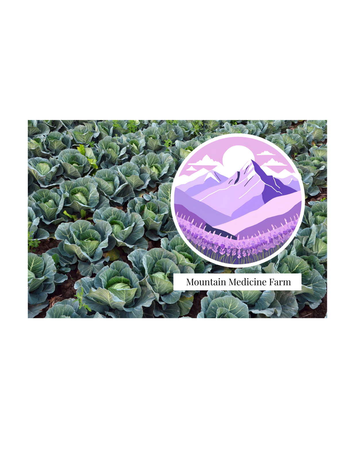 Event Promo Photo For Heritage School: Healthy Cooking in the New Year