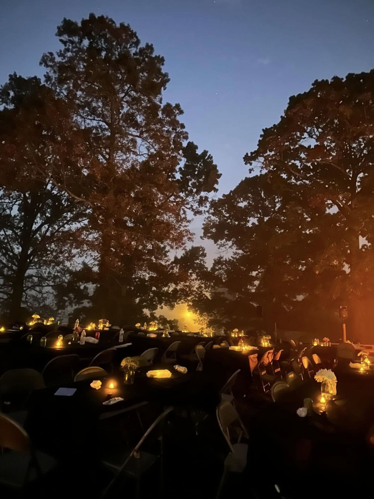 Event Promo Photo For Dining with the Dead