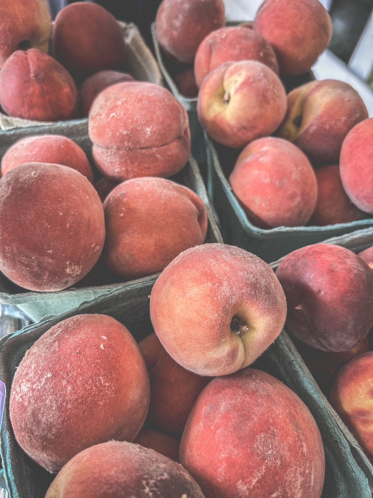 Event Promo Photo For Dirt Poor Farm's Peach Festival