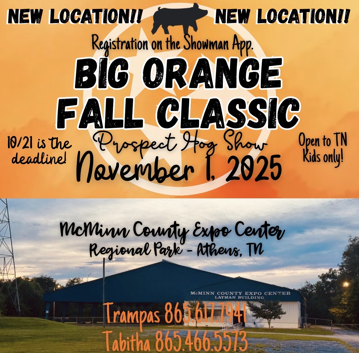 Event Promo Photo For Big Orange Fall Classic Prospect Hog Show
