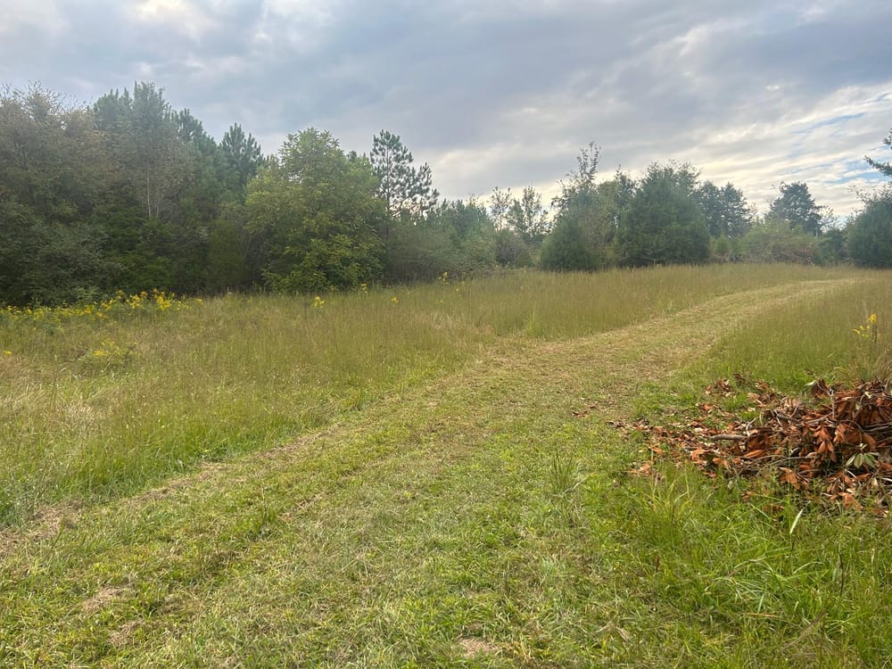 Main Photo For Development Opportunity