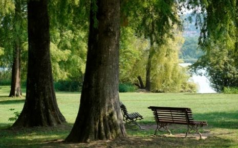 Dorothy Lewis Park Photo