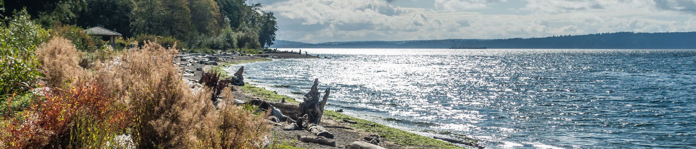 seahurst park shoreline