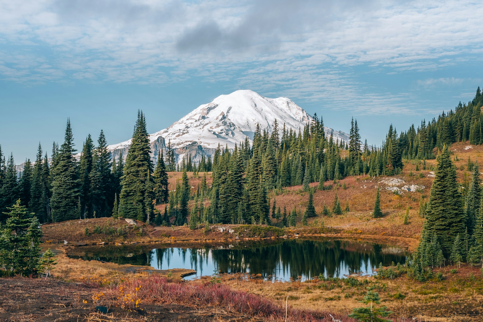 Why Burien, WA, is the Perfect Location for Your Next Hotel Investment in the Pacific Northwest Photo