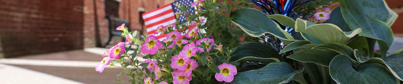 flowers, american flag on street