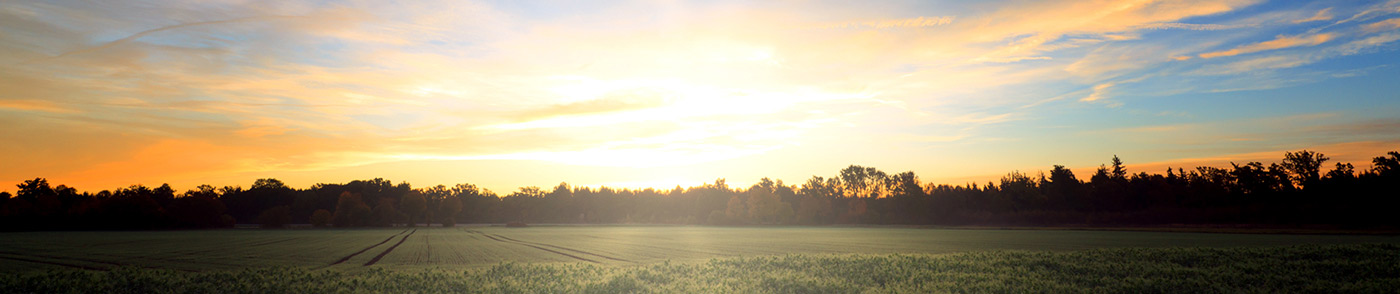 sunset over farm field