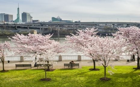 South Korean Documentary Highlights Portland's Outdoors, Apparel Industry Photo