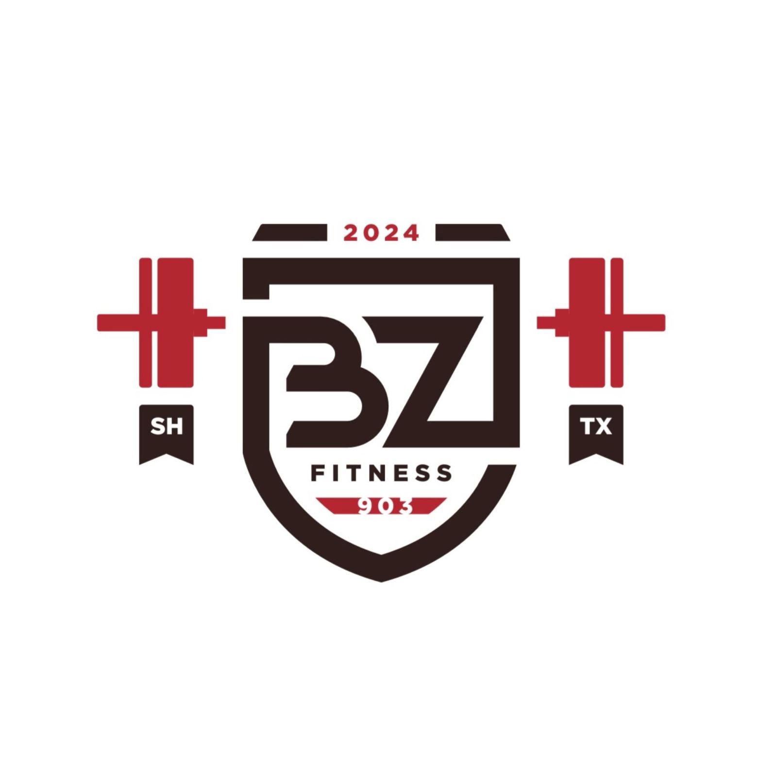 BZ FITNESS's Logo