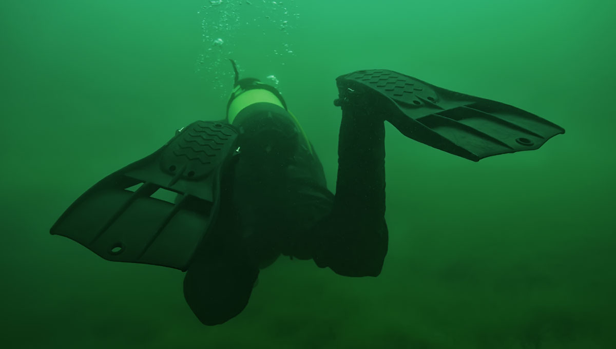 Dive into the Depths with some Scuba Diving in Dale Hollow Lake! Photo