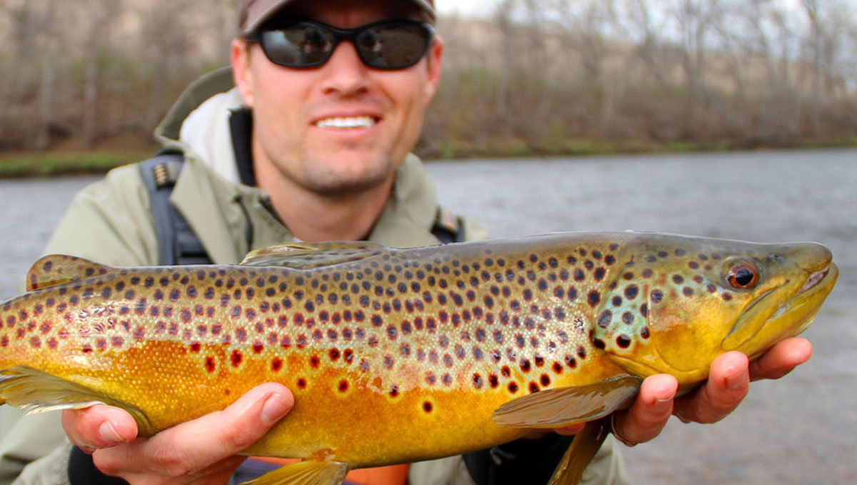 Filthy weather and fine fishing at Blakewell Trout Fishery, North