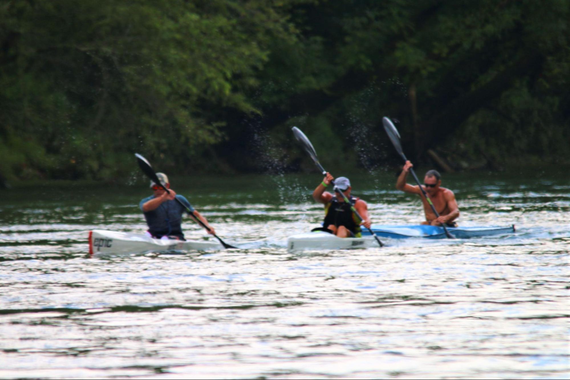 Experience breathtaking views from River Festivus on Dale Hollow Lake! Photo