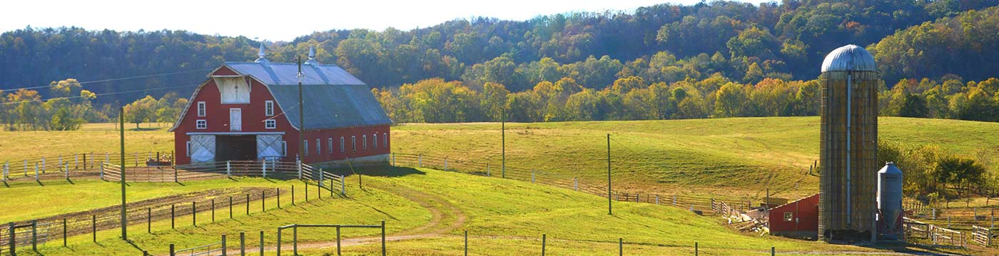 Agriculture and Food Profile of Cumberland County