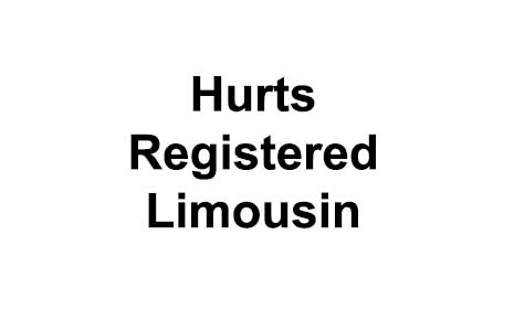 Hurts Registered Limousin's Image