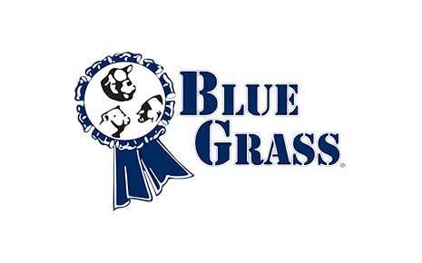 Blue grass Stockyard of Albany's Logo