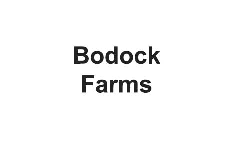 Bodock Farms's Image