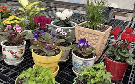 Click the Spring Blooms and Local Roots at Shafer Heritage Farms slide photo to open