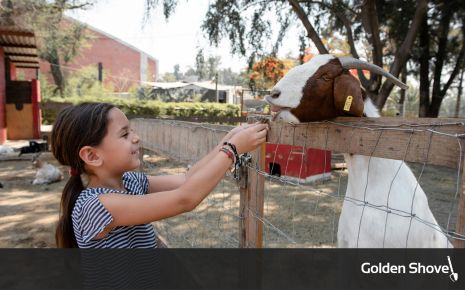 Agritourism: A Promising (And Fun!) Avenue for Economic Growth Main Photo