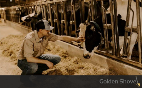 McMinn Celebrates Dairy Month as the Top Milk-Producing County in Tennessee Main Photo