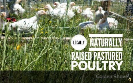 Emus To Eggs: Meet Weston County’s Most Unexpected Farm Photo
