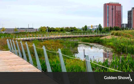 South Wilmington Wetlands Park is More Than an Amenity; It's Green Infrastructure Photo