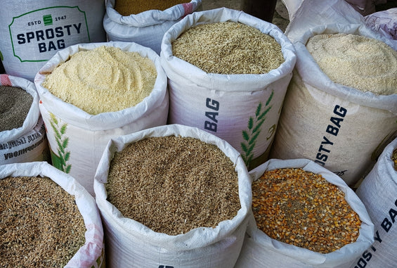 Click the From Burlap to Beyond: Sprosty Bag’s Next Chapter Slide Photo to Open