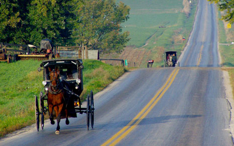 Experience the Gateway to Amish Country! Photo