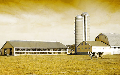 AgriBusiness/AgriScience Photo